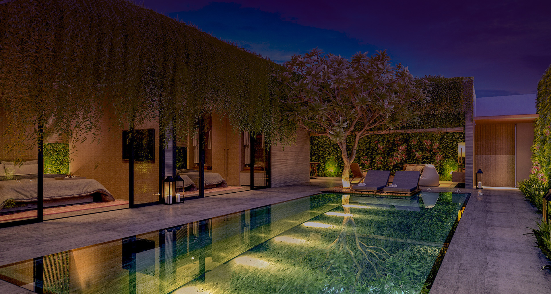 Modern Backyard